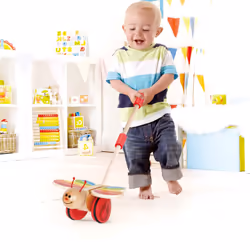Hape E0340 push & pull toy