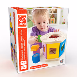 Hape E0407 learning toy