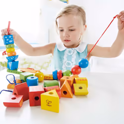 Hape E1019 learning toy