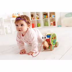 Hape E0349 push & pull toy