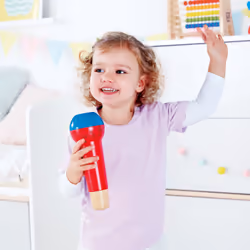 Hape E0337 musical toy
