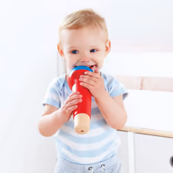 Hape E0337 musical toy
