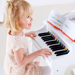 Hape E0338 musical toy