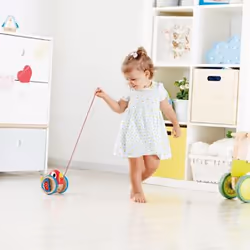 Hape E0360 push & pull toy