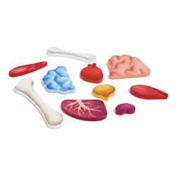 Hape Human Body Jigsaw puzzle 60 pc(s) Science - Additional view 5