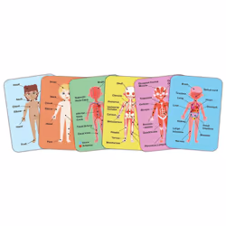 Hape Human Body Magnetic Puzzle Shape puzzle People - Additional view 5