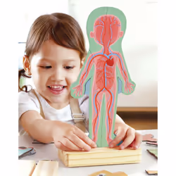 Hape Human Body Magnetic Puzzle Shape puzzle People - Additional view 7