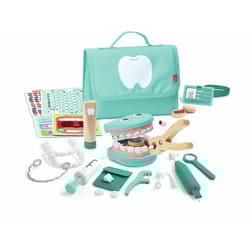 Hape Little Dentist Playset