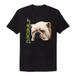 Dinosaur Jr Whatever's Cool With Me T-shirt S - L