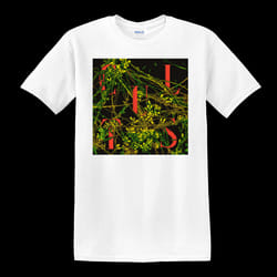 Cults Host T-shirt S - S