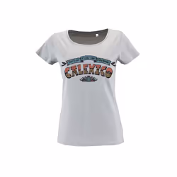 Calexico Lyrics Ladies T-Shirt S - XXL