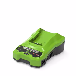 Greenworks 2932407, Battery charger, Greenworks, Green, AC, 220 - 240 V, Lithium-Ion (Li-Ion)