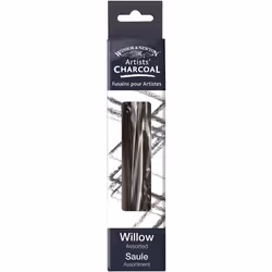 Winsor and Newton Artist Willow Charcoal Sticks - Assorted