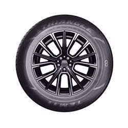 Triangle TE301 175/70 R14 88H passenger car Summer tyres Tyres BMW: 3 Convertible, VOLKSWAGEN: Polo V Hatchback, SEAT: Ibiza 4 ST, Ibiza 4 CBPTE30117F - Additional view 3