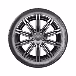 Triangle EFFEXSPORT TH202 265/30 R19 93Y passenger car Summer tyres Tyres CBPTH20226P19YFJ 6959753232708 Felgenschutz