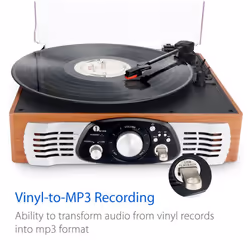 1byone Belt-Drive 3-Speed Stereo Turntable with Built in Speakers, Supports Vinyl to MP3 Recording, USB MP3 Playback, and RCA Output, Natural Wood