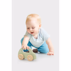 PolarB Wooden Car