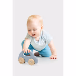 PolarB Wooden Car