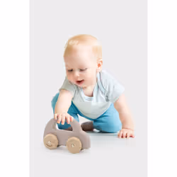 PolarB Wooden Car