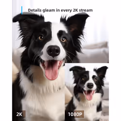 Pet Camera with Phone App,2K Security Camera Indoor 2PCS, Dog Camera WiFi Home Camera,360 Baby Monitor with Smart IR Night Vision,Siren,Motion