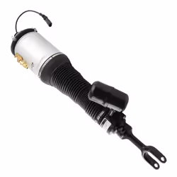 Front Left Air Suspension Strut For Bentley Continental GT Flying Spur 2003-2012