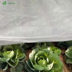 Garden Fleece with 10 Pegs, 50gsm Horticultural, Frost Winter Plant Protection Cover 1.5 x m, 6662008897559, White, 1.5x 10M - Additional view 6