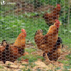 VOUNOT Chicken Wire Mesh, Metal Animal Fence, 13mm Holes, 1m x 50m, Galvanized Silver