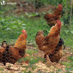 VOUNOT Chicken Wire Mesh, Metal Animal Fence, 13mm Holes, 1m x 50m, PVC Coated Grey