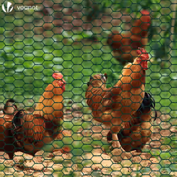 VOUNOT Chicken Wire Mesh, Metal Animal Fence, 13mm Holes, 1m x 50m, PVC Coated Green