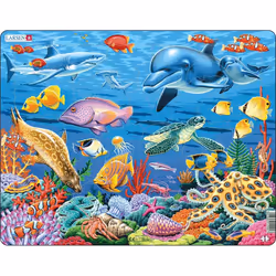 Larsen Maxi FH29, 35 pc(s), Underwater