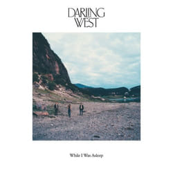 ImportCDs While I Was Asleep Vinyl Americana