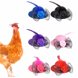 6 Pieces Chicken Hats For Hens Tiny Pets Funny Chicken Accessories Feather Top Hat With Adjustable Elastic-Shape2
