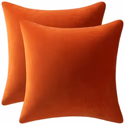 Couch Pillow Cases 20x20 Burnt Orange: 2 Pack Cozy Soft Velvet Square Throw Pillow Covers for Farmhouse Home Decor, IFENG
