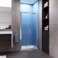 Pivot Hinge Shower Enclosure Glass Door - 860mm