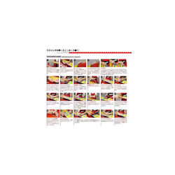 Swix T0825D Plexi Scraper  0.2 inches (5 mm)