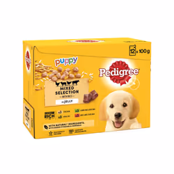 Pedigree Puppy Dog Food in Jelly Vital protection 100% nutrition12pk