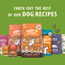 Lily's Kitchen Made with Natural Ingredients Puppy Dry Dog Food Chicken, Salmon & Peas Grain-Free Recipe 1kg