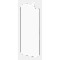 Skech SKBD-IPPG19-TWP mobile phone screen/back protector Back/screen protector Apple 2 pc(s)