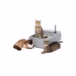 Pet Safe ZWM00-17262 Multi-Cat Plastic Litter Box