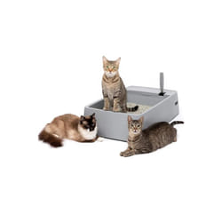 Pet Safe ZWM00-17262 Multi-Cat Plastic Litter Box