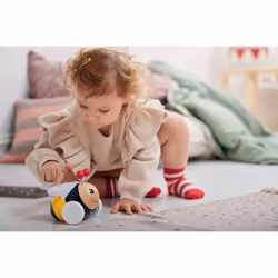 BRIO 30154 interactive toy