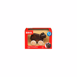 Push Along Bear Push Along Toddler Toys for Ages 12 Months Up (Kids 1 Year Old)