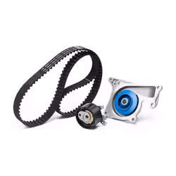 SKF VKMC 06136 Water Pump + Timing Belt Kit 119 Plastic MERCEDES-BENZ: B-Class, DACIA: SANDERO 2, RENAULT: Clio 4