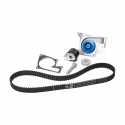 SKF VKMC 06136 Water Pump + Timing Belt Kit 119 Plastic MERCEDES-BENZ: B-Class, DACIA: SANDERO 2, RENAULT: Clio 4 - Additional view 8