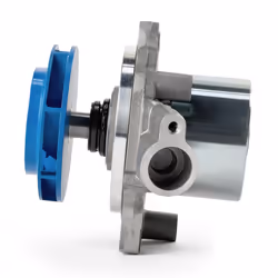 SKF VKPC 81178 Water pump with water pump gasket without integrated disabling contact, non-switchable water pump Plastic for timing belt drive