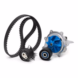 Water Pump + Timing Belt Kit; SKF; with gaskets/seals 116 for timing belt drive Plastic; for FORD, PEUGEOT, CITROËN, VAUXHALL ...