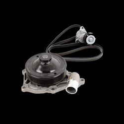 SKF VKMC 36136 Water Pump + V-Ribbed Belt Kit NISSAN: Qashqai / Qashqai+2 I