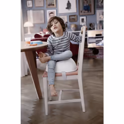 BabyBjorn BOOSTER SEAT