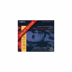 Bach: Cantatas, Vol 25 (BWV 78, 99, 114)