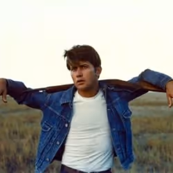 Warner Home Video Badlands DVD English